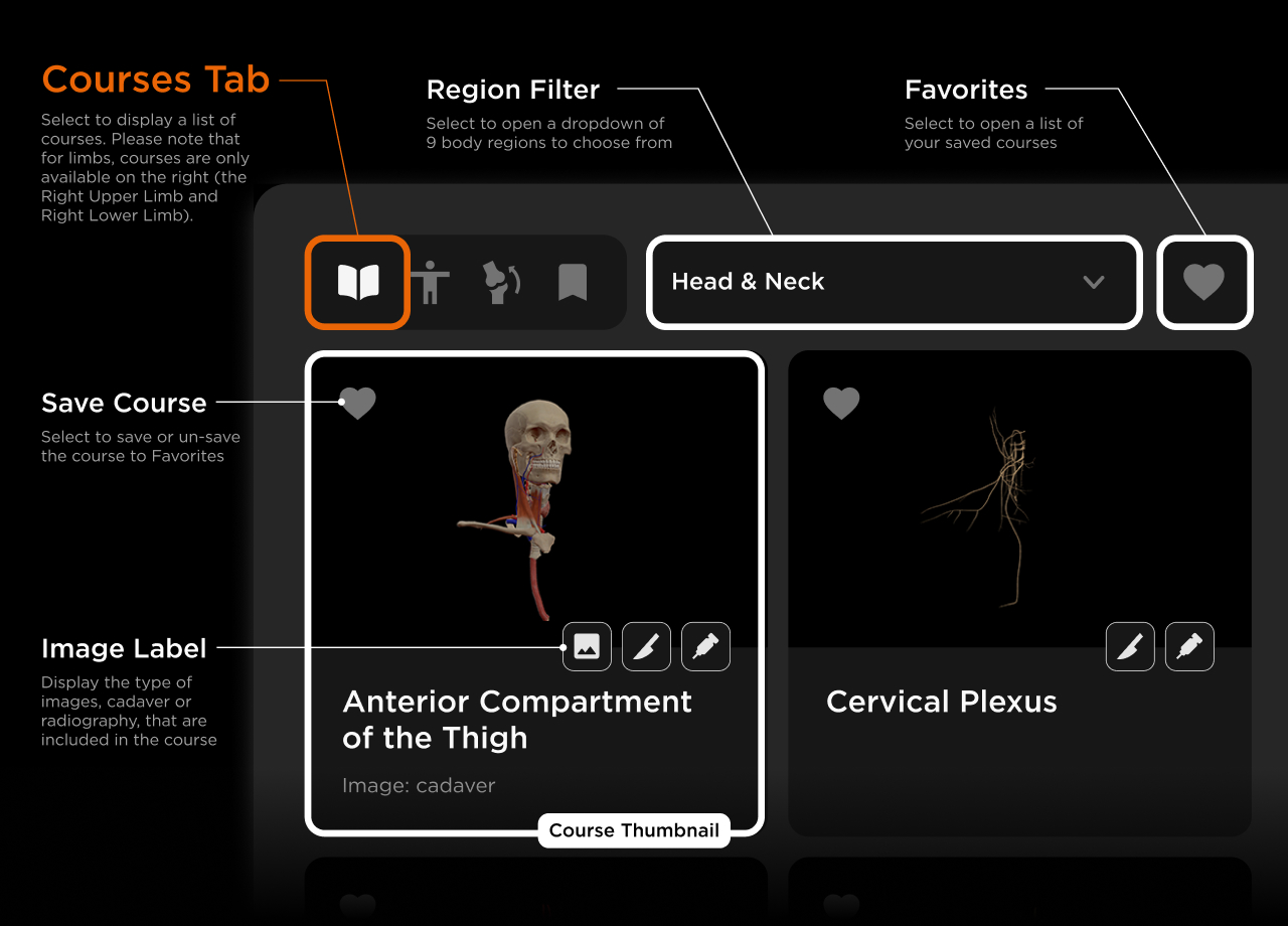 Human Anatomy VR App UI Menu