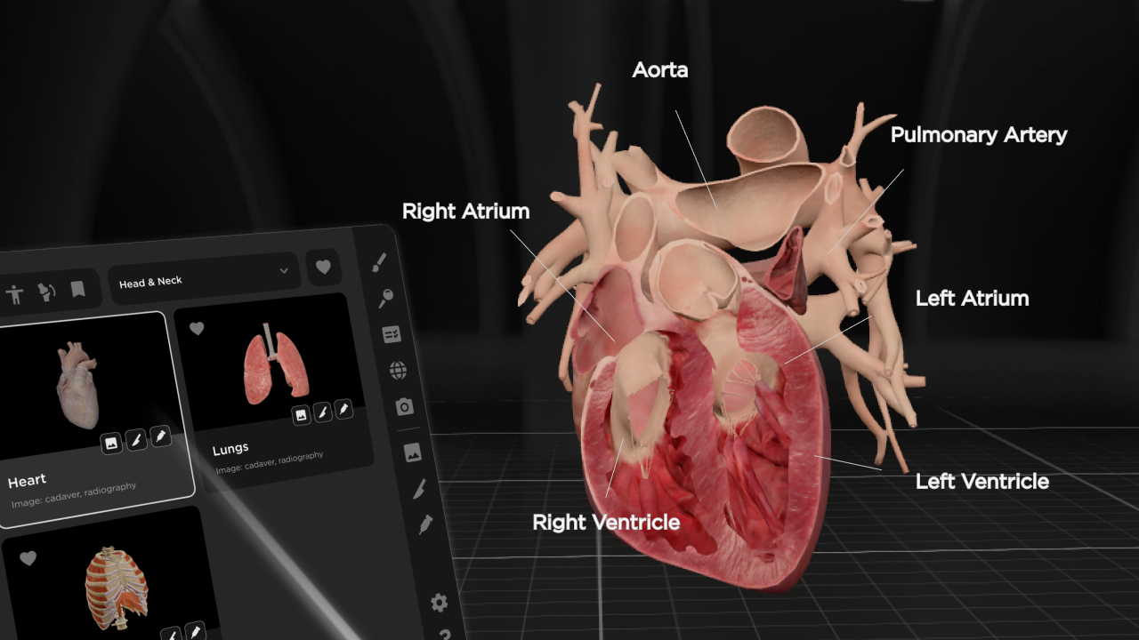 Human Anatomy VR App